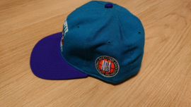 VINTAGE 90S STARTER PET DICHT MODEL ( NIEUW ) CHARLOTTE HORNETS ( ZELDZAAAM )