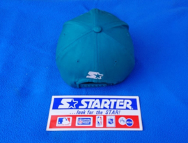 VINTAGE 90S STARTER ARCH PET ( LICHT GEBRUIKT ) CHARLOTTE HORNETS ( ZELDZAAM )