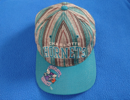 VINTAGE 90S STARTER ARCH PET 2 ( LICHT GEBRUIKT ) CHARLOTTE HORNETS ( ZEER ZELDZAAM )