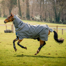 ^Horseware AMIGO Bravo 12 Plus Bundle