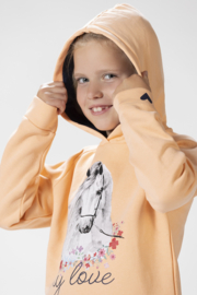 HKM Hoody 'Horse Spirit'