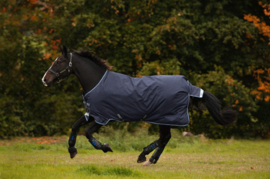 ^Horseware AMIGO Bravo 12 Medium, 250 gram, 1200 D