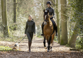 Lauria Garrelli Rijbroek 'Beagle', Stoffen Zitvlak