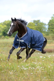 Bucas Freedom Turnout, Light, PONY