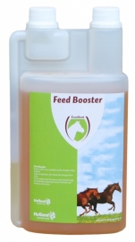 Excellent 'Feed Booster Horse'