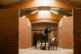 Lauria Garrelli Zweetdeken 'Arezzo'