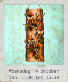 Uilen op tak, woensdag 14 oktober van13:30 tot 15:30 uur