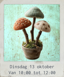 Vilten paddenstoel in pot, dinsdag 13 oktober van 10:00 tot 12:00 uur