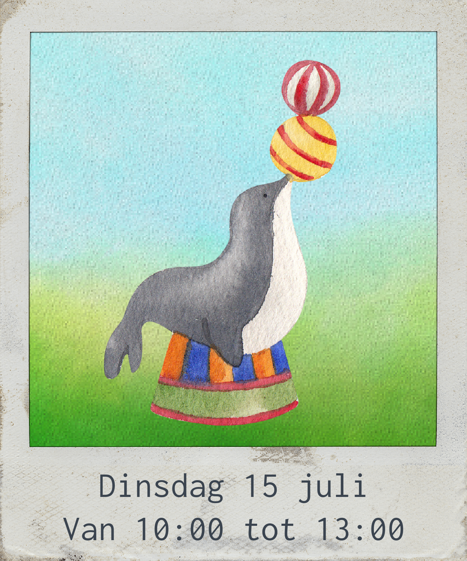 Dinsdag 15 juli, Zeehonden show