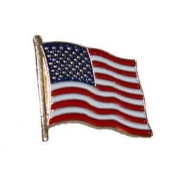 P110 - Pin - USA Waving Flag