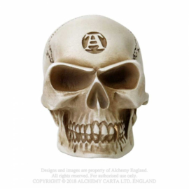 Alchemy - Alchemist Bone Skull Gear Shift Knob - Shifter