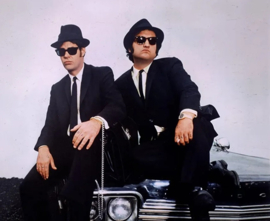Blues Bros Sunglasses - Black Frame/Dark Lenses
