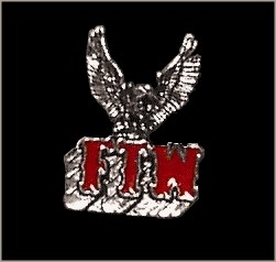 Pin - FTW Eagle
