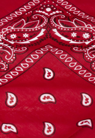 Red Bandana Girl  - Red Paisley