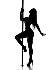 Pole Dancer for Radiator M8 - Custom Made