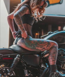 Sportster & Girls