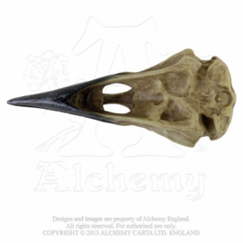 Alchemy - Larger than life Raven Skull - Corvus Alchemica