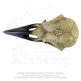 Alchemy - Larger than life Raven Skull - Corvus Alchemica