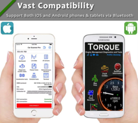 Bluetooth OBDII OBD2 Diagnostic Scanner - Torque Compatible