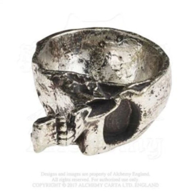 Trinket Dish - Alchemy - The Vault - Half skull