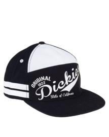 Dickies Snapback Cap - Ruskin Black O/S