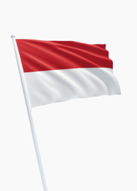 Velcro PATCH - Flag of Indonesia