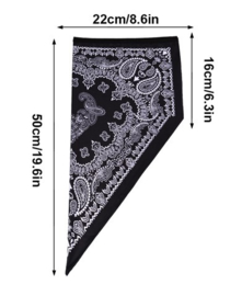 Black Paisley NeckTube / Triangle Tunnel - Cholo