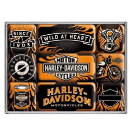 Harley-Davidson magnet set - Wild at Heart - 1903