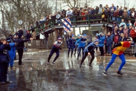 Flag - Friesland flag Fryslan Frysian 