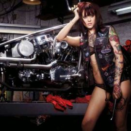 Garage Toolset, INCH, CrV steel, 61 parts -  Harley & USA Car!