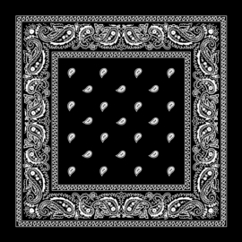 Bandana  - Black Paisley