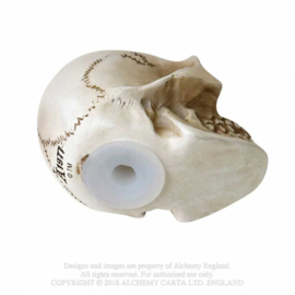 Alchemy - Alchemist Bone Skull Gear Shift Knob - Shifter