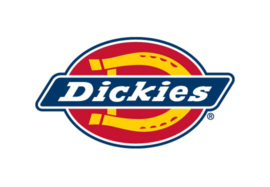 DICKIES SHORTS OLIVE GREEN