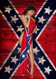 Vlag - Rebel - The South - General Lee