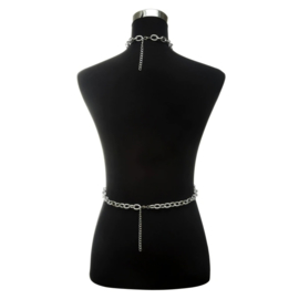 Metal Chain & Collar