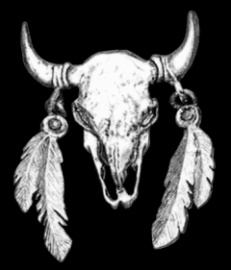 P130 - Pin - Buffalo Skull with Feathers -  Large