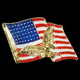 P139 - Pin - USA Flag with Eagle - Large