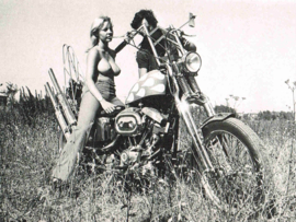 Sportster & Girls