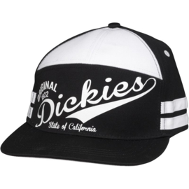 Dickies Snapback Cap - Ruskin Black O/S