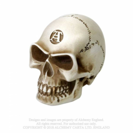 Alchemy - Alchemist Bone Skull Gear Shift Knob - Shifter