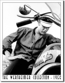 Large Metal Plate - The Wertheimer Collection - Elvis on his Harley