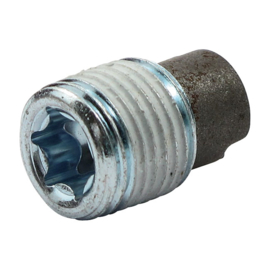 DRAIN PLUG, MAGNETIC. TORX