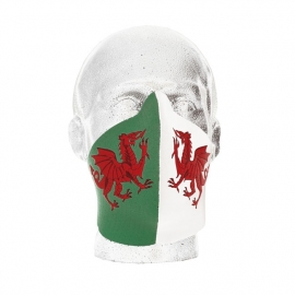 Bandero Face Mask - Dragon - Wales