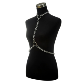 Metal Chain & Collar