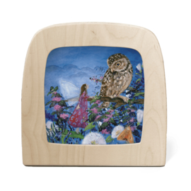 Toverlampplaat Daniela Dresscher - Het elfje dat niet kon slapen