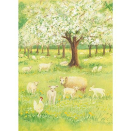 Marjan van Zeyl - Ansichtkaart Lammetjes in de boomgaard