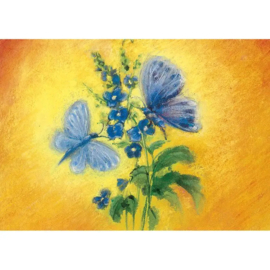 Marjan van Zeyl - Ansichtkaart Blauwe vlinder