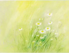 Marjan van Zeyl - Ansichtkaart Madeliefjes