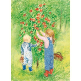 Marjan van Zeyl - Ansichtkaart Appels plukken