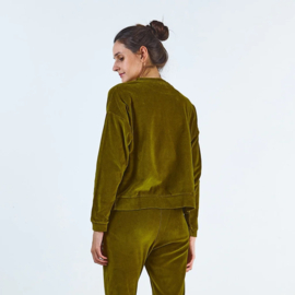 Poudre Organic - Women's velvet sweatshirt fir green